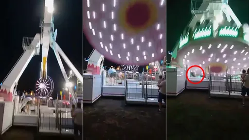 驚悚影片｜莽撞男闖禁區救狗　遊樂設備砸下來把他KO了
