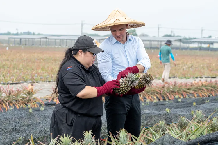 達美樂CEO Ben與研發主廚親自深入金鑽鳳梨產地勘查。業者提供