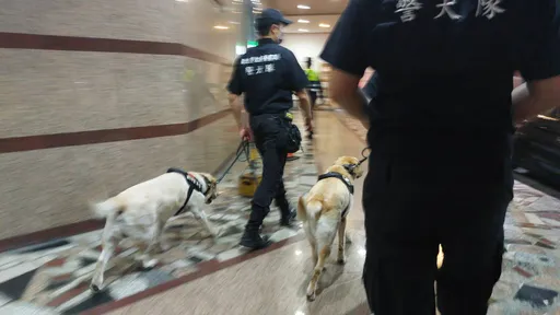 緝毒警犬助陣 桃警雷霆萬鈞掃蕩不法