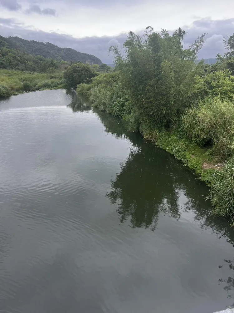 清明連假期間關西鳳山溪油污染。新竹縣府提供