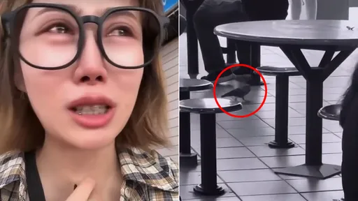 女遊客嚇哭「因為鴿子」再不到新加坡 遭酸反嗆多數網友無知