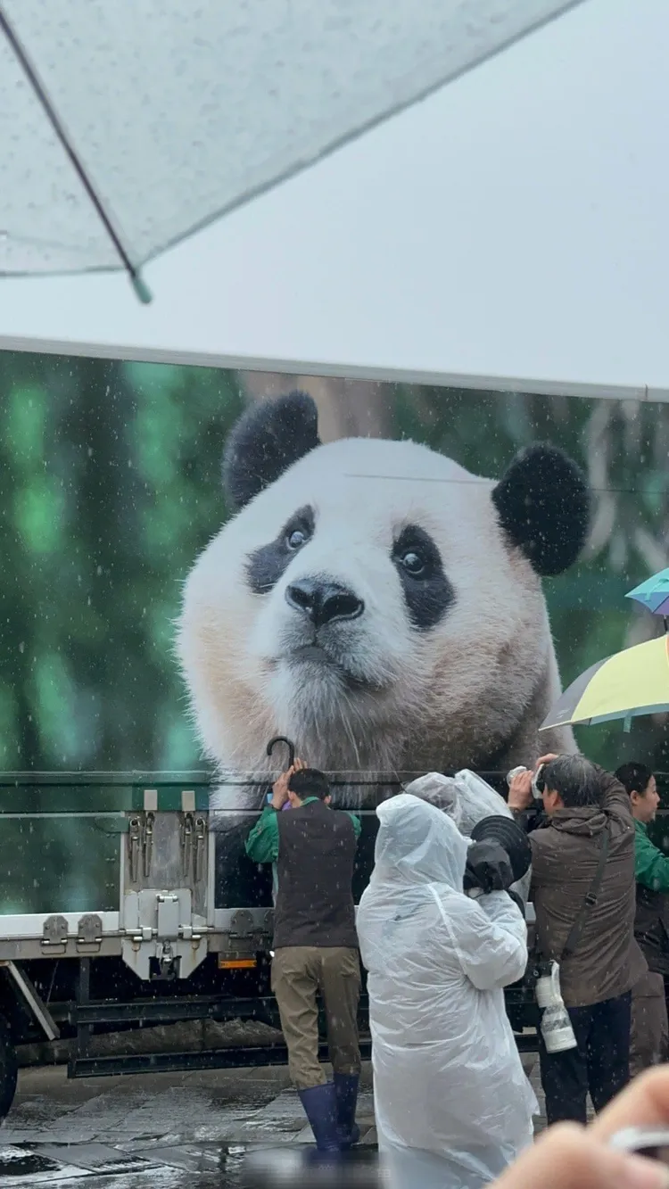 宋爺爺一度趴在車上痛哭。翻攝福寶和爺爺的幸福基地臉書社團