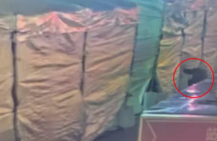 竊賊看帳篷無人看守就闖入。翻攝畫面