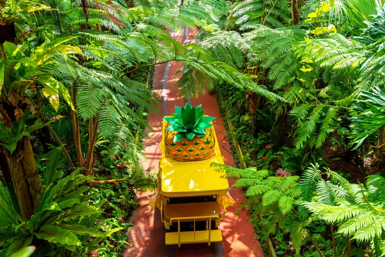 「名護鳳梨園」2022年揭幕釀酒園區「LA PIÑA DISTILLERY」，能品嚐鳳梨飲品與鳳梨巧克力。業者提供