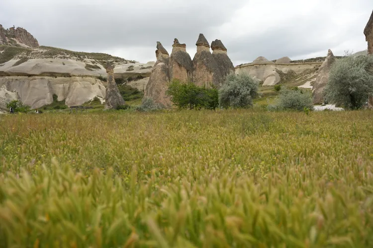 「蘑菇谷」因為有著許多狀如蘑菇的岩石而得名。SH攝