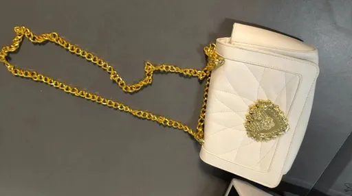 貴婦包包鍊條太耀眼 海關攔查竟是「999黃金製」價值200萬元