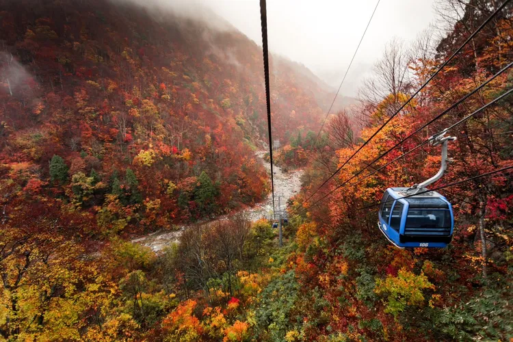 「北陸夏日鐵道5日」搭乘6種交通工具，欣賞不斷變化景緻的立山黑部，搭配經典上高地健行，走訪金澤兼六園，旅展價3萬7000元起。業者提供