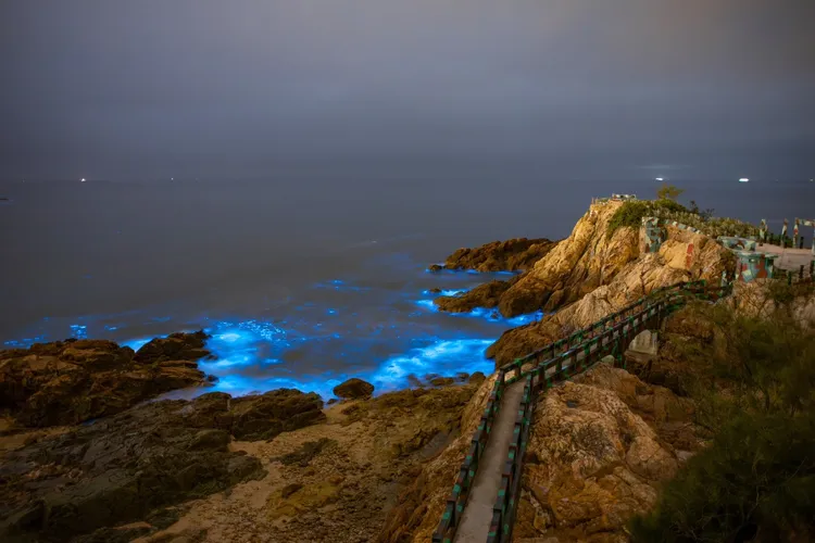 「金門夜訪藍眼淚3日」欣賞碎浪中閃爍瀅瀅藍光，與戰地遺跡交錯出絕無僅有的魔幻奇景，旅展價1萬500元起。業者提供