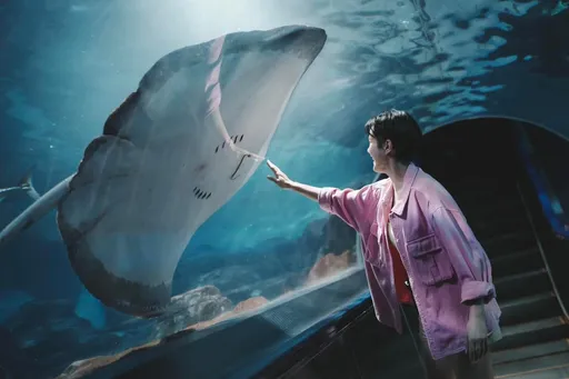 壓力一波波！花蓮遠雄海洋公園「休園到5/31」　網友暖喊：我們等你