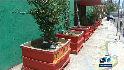 為驅趕遊民紮營 越來越多洛杉磯店家用這招