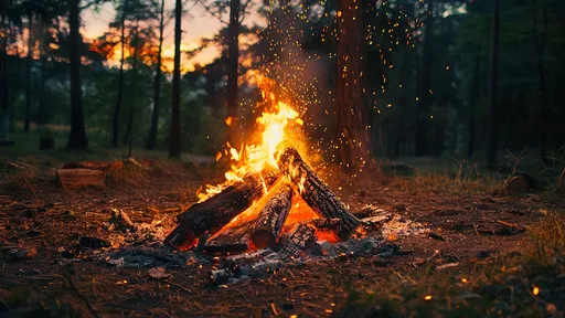 登西巒大山撿907元雜木生火 4山友須支付公庫16萬元獲緩起訴