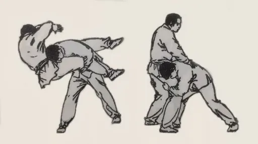 鍾佳濱「擒抱撲倒」陳菁徽成立院驚片 柔道高手:竟是禁用已久招式