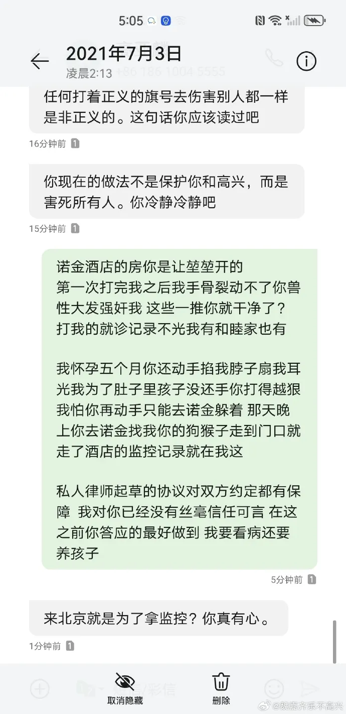 魏嘉曬對話紀錄，指控高亞麟家暴性侵。翻攝魏嘉微博