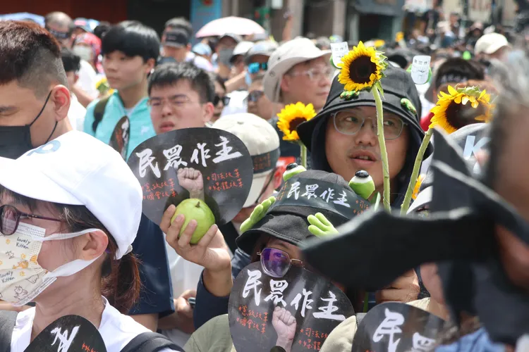 有民眾拿著太陽花到現場。彭欣偉攝