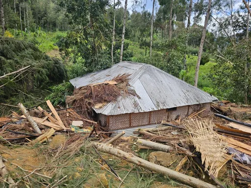 巴紐土石流滅村!估670人睡夢中喪命 逾千人無家可歸