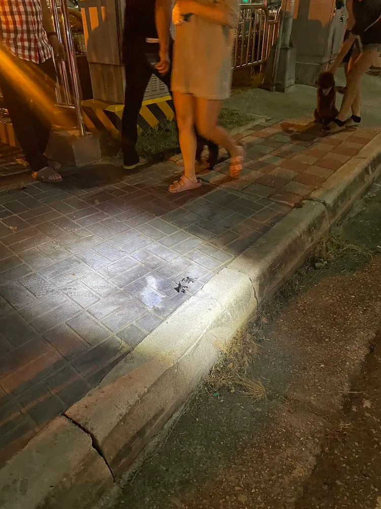 丟擲鞭炮的2名高中生被移送少年法庭審理。民眾提供