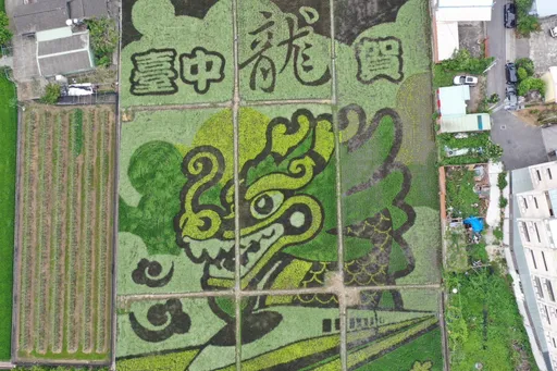 生態繽紛　台中外埔稻田彩繪漫遊亮點