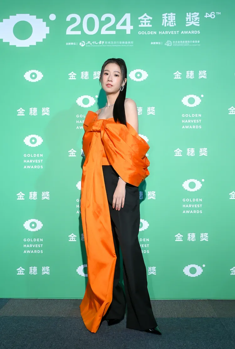 方志友主持金穗獎。金穗獎提供