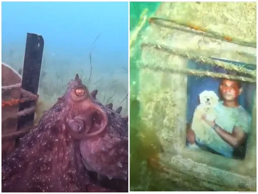 靈性章魚拉她找「海底寶藏」 見到照片瞬間內心海嘯