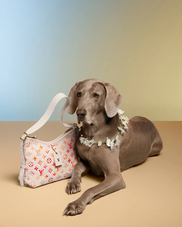 LV母親節形象與贈禮推薦。品牌提供