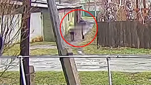 15歲少年拐騙8歲女童「路邊性侵」 民眾搶先警察抓人動私刑