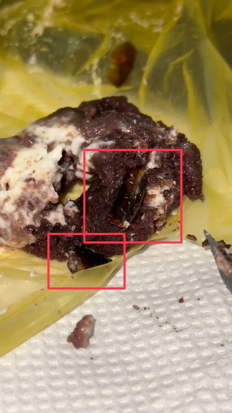 網友咬到蟑螂超崩潰。翻攝「爆料公社(官方粉專專屬)」臉書