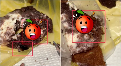 吃蛋糕聽見卡滋聲 吐出一看是咬碎大蟑螂!店家回應了