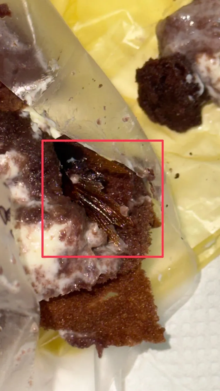 有人質疑蟑螂從冰箱鑽進去，網友還原經過。翻攝「爆料公社(官方粉專專屬)」臉書