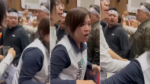 誰先動手?林淑芬vs.麥玉珍 近距離影片揭露右勾拳砸臉起因