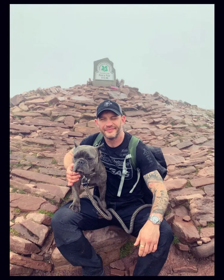 湯姆哈迪與愛犬Blue。翻攝tomhardy IG
