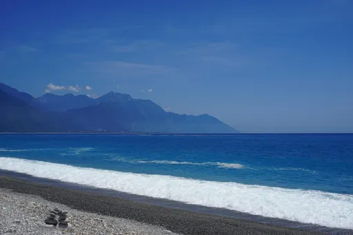 超危险!七星潭遍地水针鱼头 游客反应超臭还怕被刺伤