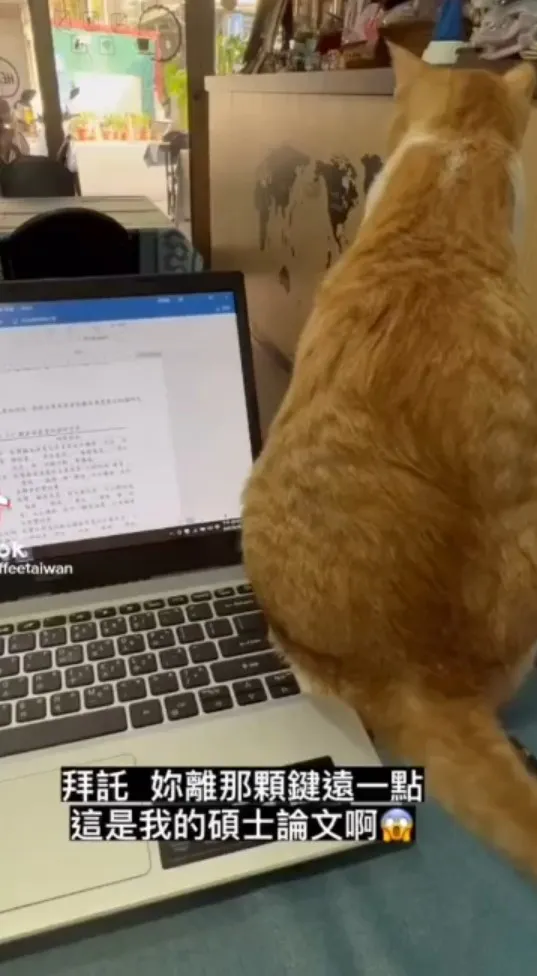 可以離我筆電遠一點嗎？ikTok@gcoffeetaiwan 提供
