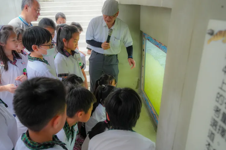 生態團隊清華大學曾晴賢教授，向新和國小師生導覽解說碧潭堰的魚道功能。水利局提供