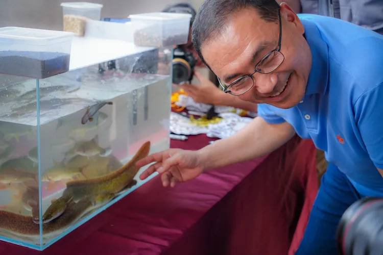 碧潭堰魚道已可讓43種不同的魚、蝦、蟹，都有一條安全洄家的路。水利局提供