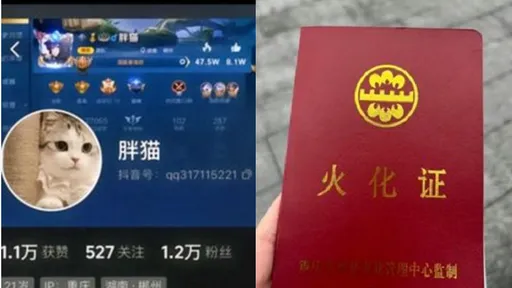 中國網友不好騙了!胖貓都火化了才鬧大 官方出大事就炒「男女事」帶風向