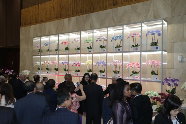 總統就職國宴20日首度於台南登場。市府提供