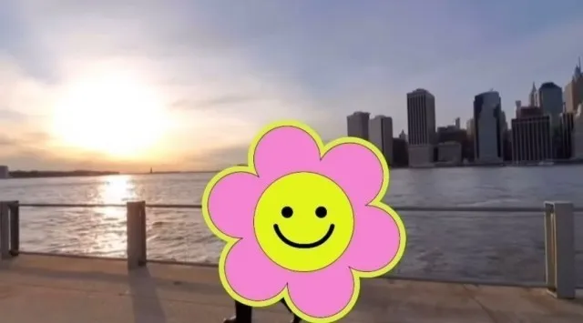 宋多恩分享BTS過去影片中智旻的片段，刻意用花朵貼圖遮住臉。翻攝宋多恩IG