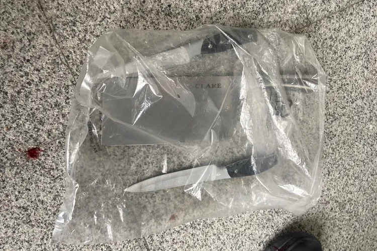 警方起出1把菜刀、2把水果刀。讀者提供