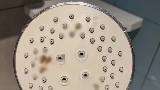 飯店蓮蓬頭「有糞便」房客已接水刷牙 業者:異物未必是我的問題