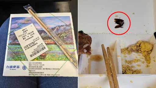 吃台鐵便當驚見「斷頭蟑螂殘屍」 台鐵致歉:研判應是個案