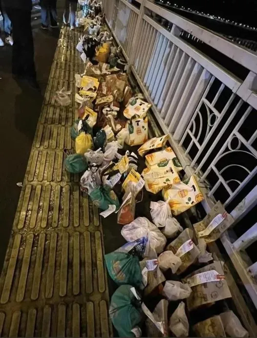 胖貓事件是近期中國熱門新聞。翻攝矢板明夫俱樂部臉書