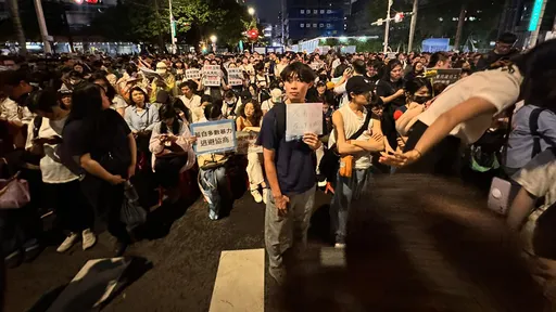 今天「我藐視國會」立院集結 史書華:要你衝議場的都是間諜