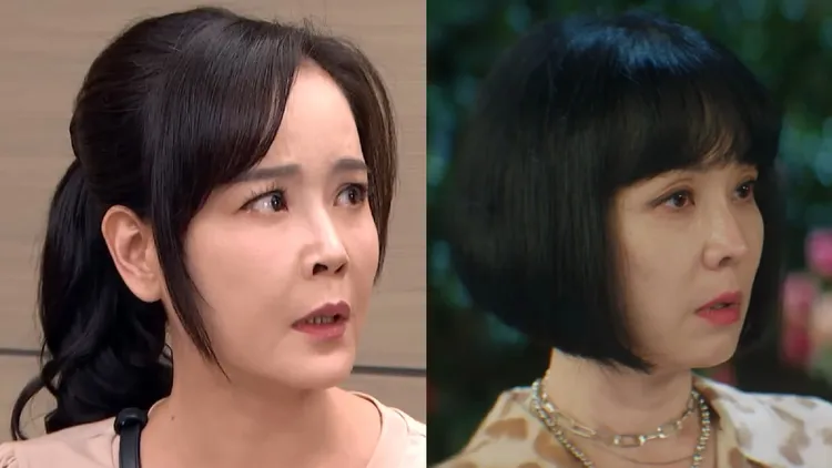 《天道》麗萍（左）與《淚之女王》女主角的姑姑有幾分相像。翻攝tvN、三立台劇 SET Drama YT