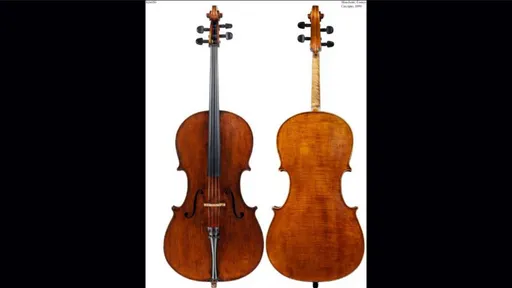 19世紀罕見大提琴不翼而飛 價值超過8百萬元