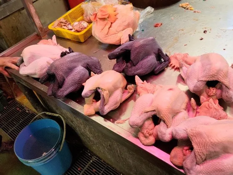 三甲氧芐氨嘧啶過量、長期食用，可能導致噁心、嘔吐、腸胃不適。北市衛生局提供