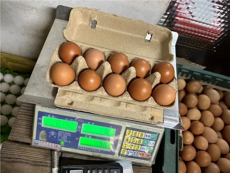 2件蛋品分別檢出「乃卡巴精(Nicarbazine)」及「甲磺氯黴素(Thiamphenicol)」與「氟滅菌(Flumequine)」含量不符規定。北市衛生局提供