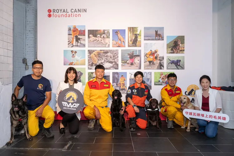 法國皇家表示期望透過「守護瓦礫堆上的毛英雄」公益專案，倡議搜救犬醫療照護，提升大眾關注。業者提供