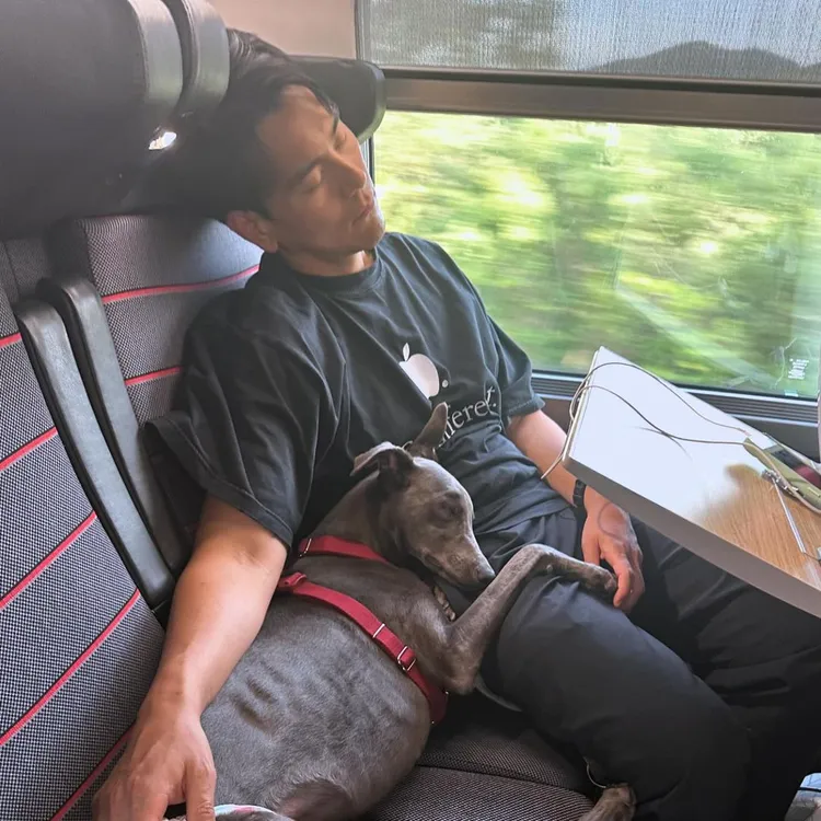 彭于晏帶著愛犬趴趴走。翻攝彭于晏IG