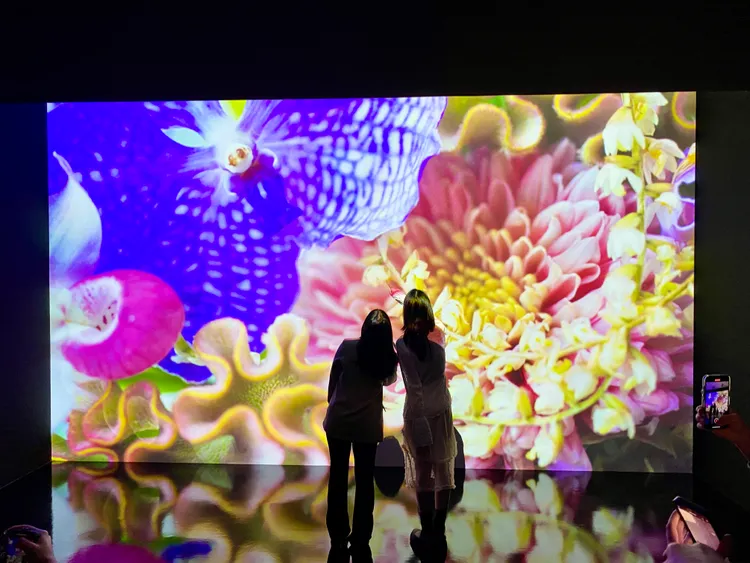 沉浸式攝影作品展區，讓人彷彿一秒置身日本花海。記者莊偉祺攝