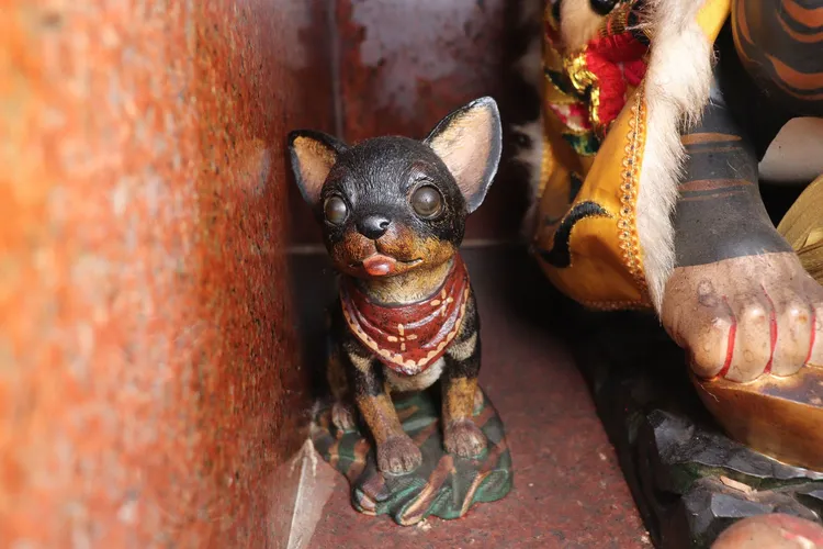 吉娃娃神像活靈活現，令信徒印象深刻。張鎧臣提供